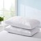 Puredown 2 Pack Quilted Goose Feather Down Pillows Standard Queen King Size